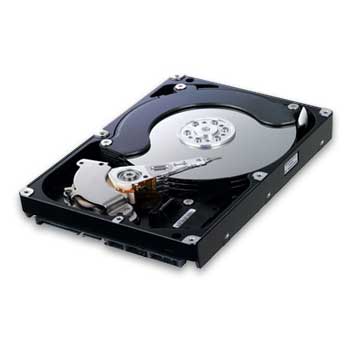 1TB Samsung HD103SJ Spinpoint F3, SATA 3Gb/s, 7200rpm, 32MB Cache, 8.9 ms, NCQ, OEM