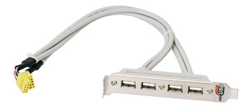 Gigabyte A-12CR1-1UB030-21 4 Port USB2 Cable
