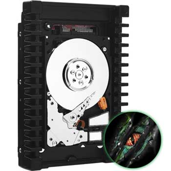 150 GB Western Digital WD1500HLFS VelociRaptor, SATA 3Gb/s, 10,000rpm, 16MB Cache, 4.2 ms