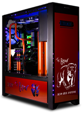 The Bear