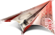 Scan Finance