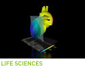 LIFE SCIENCES