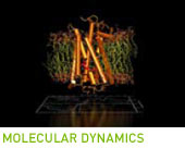 MOLECULAR DYNAMICS