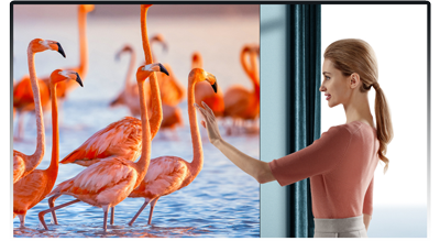 True Colour Reproduction