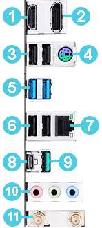 Rear Ports