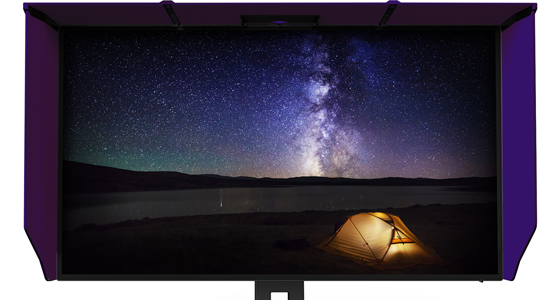 Monitor Shield