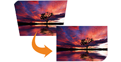acer distortion