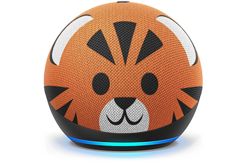 echo dot panda
