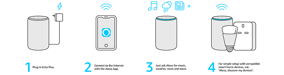 echo setup