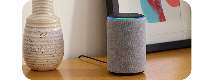 amazon echo plus grey