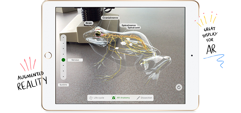augmented reality