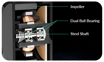 Dual Ball Bearing