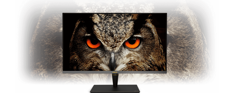 HDR-10 on ASUS PA32UCX-PK display with image of eurasion eagle owl with vibrant orange eyes