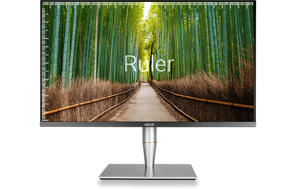 Ruler Grid