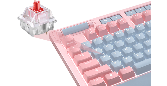 Cherry MX Switches