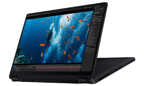 Fish video on editing software, displayed on the PX13 laptop, flexed back at over 270 degrees.