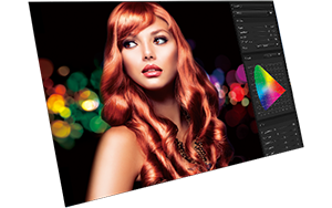 100% ADOBE RGB