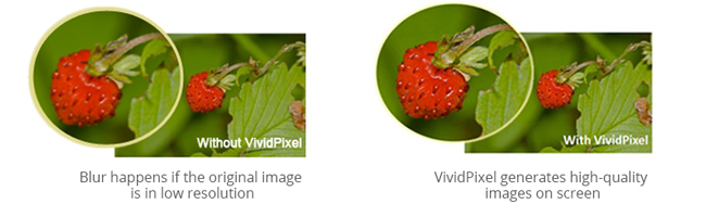 VividPixel