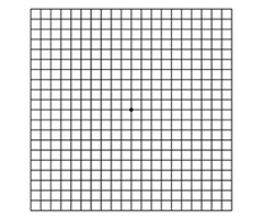 amsler grid