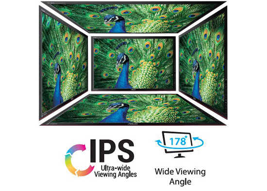 ips panel and wide angle