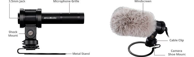 Mic