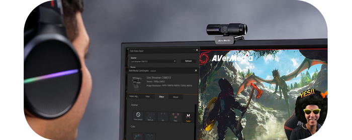 Live Gamer MINI