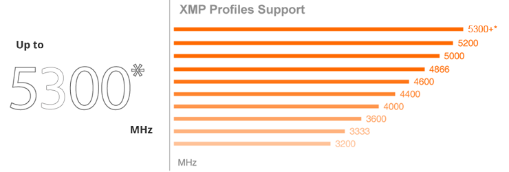 XMP