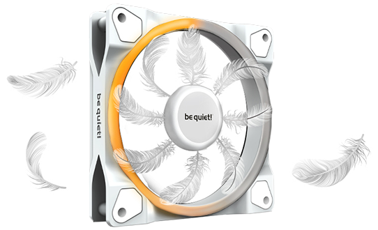 Fans fitted in an empty case