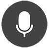 Microphone Button