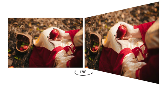 IPS Panel Technology