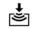 back