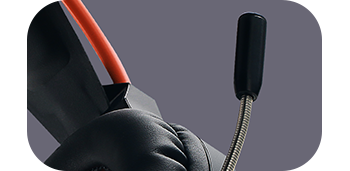 mic