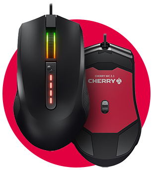 Birdseye view of the top of the mouse and the bottom of the mouse