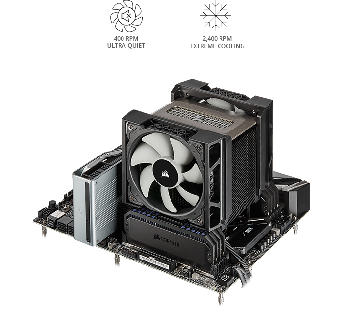 two fans