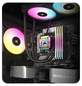 Intel & AMD Compatible