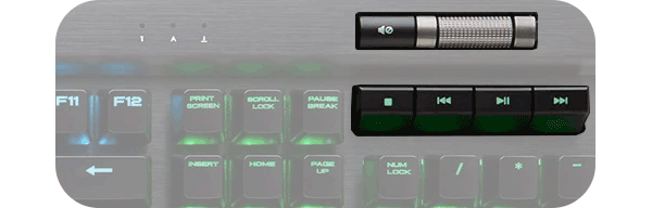 multimedia controls