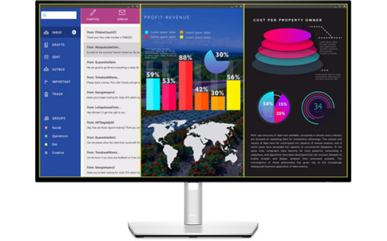 Display manager