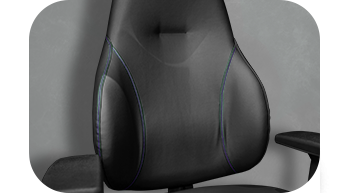 back lumbar support