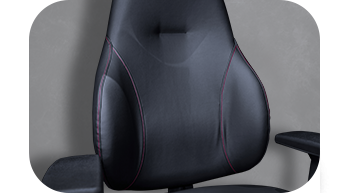 back lumbar support