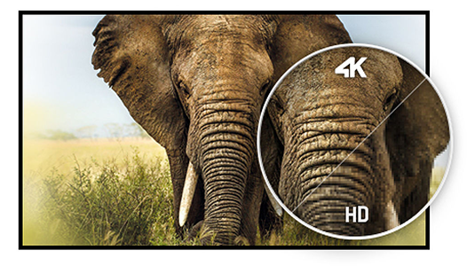 4K Display