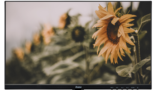 Display Visuals