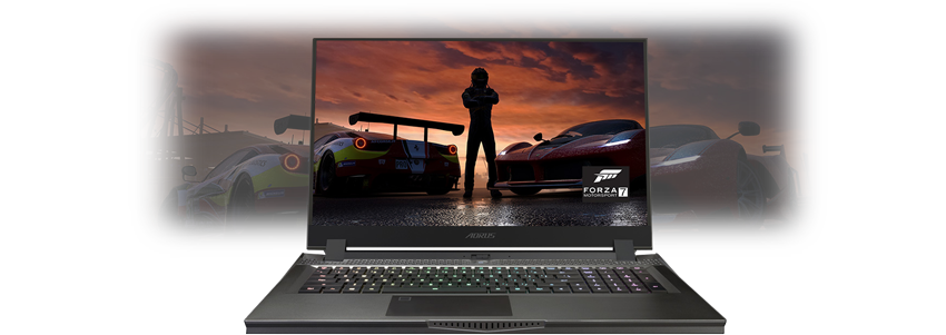 300Hz Gaming Display