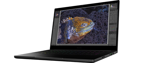 OLED 4K Touch Display