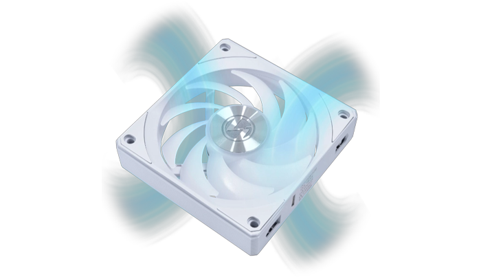 Exploded view of Fan Anatomy