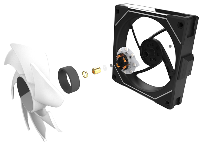 Exploded view of Fan Anatomy