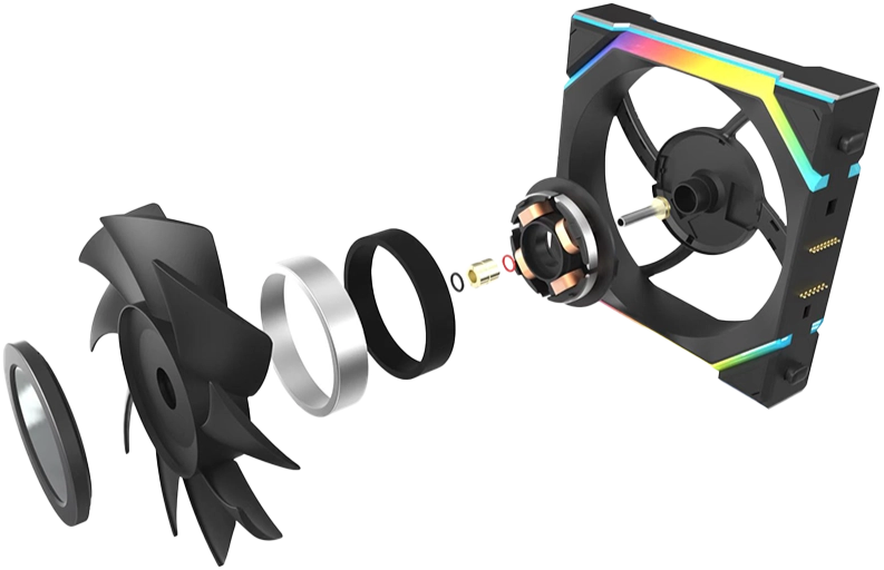Exploded view of Fan Anatomy