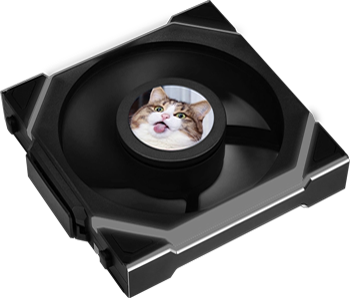 1.6-Inch LCD with Cat Picture