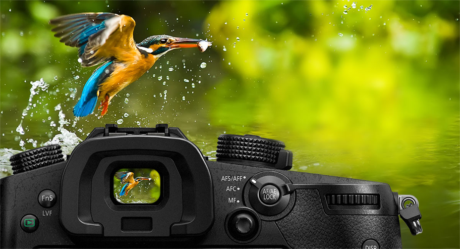 OLED View Finder