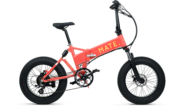 Mate X 750W