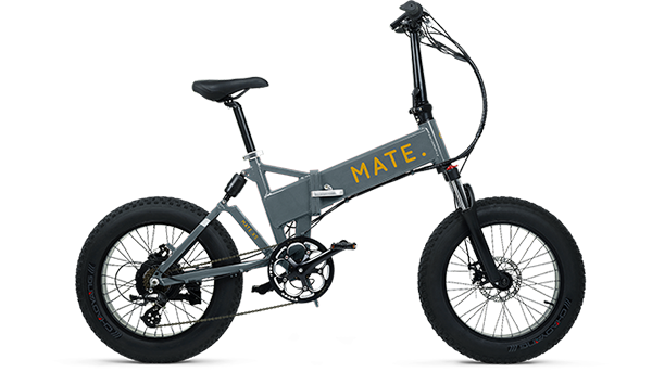 Mate X 750W